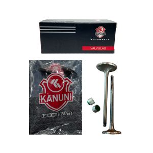 VALVULAS ADMISION Y ESCAPE + SELLOS CB-110/WAVE-110