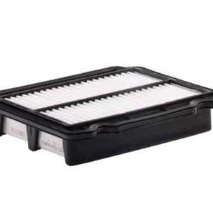 Filtro Aire Berg F99A02