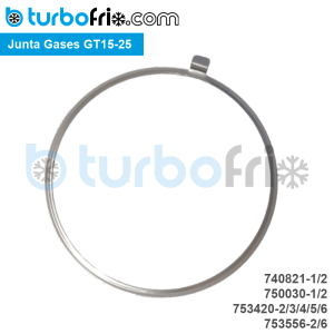 Lote Junta de Gases GT15-25